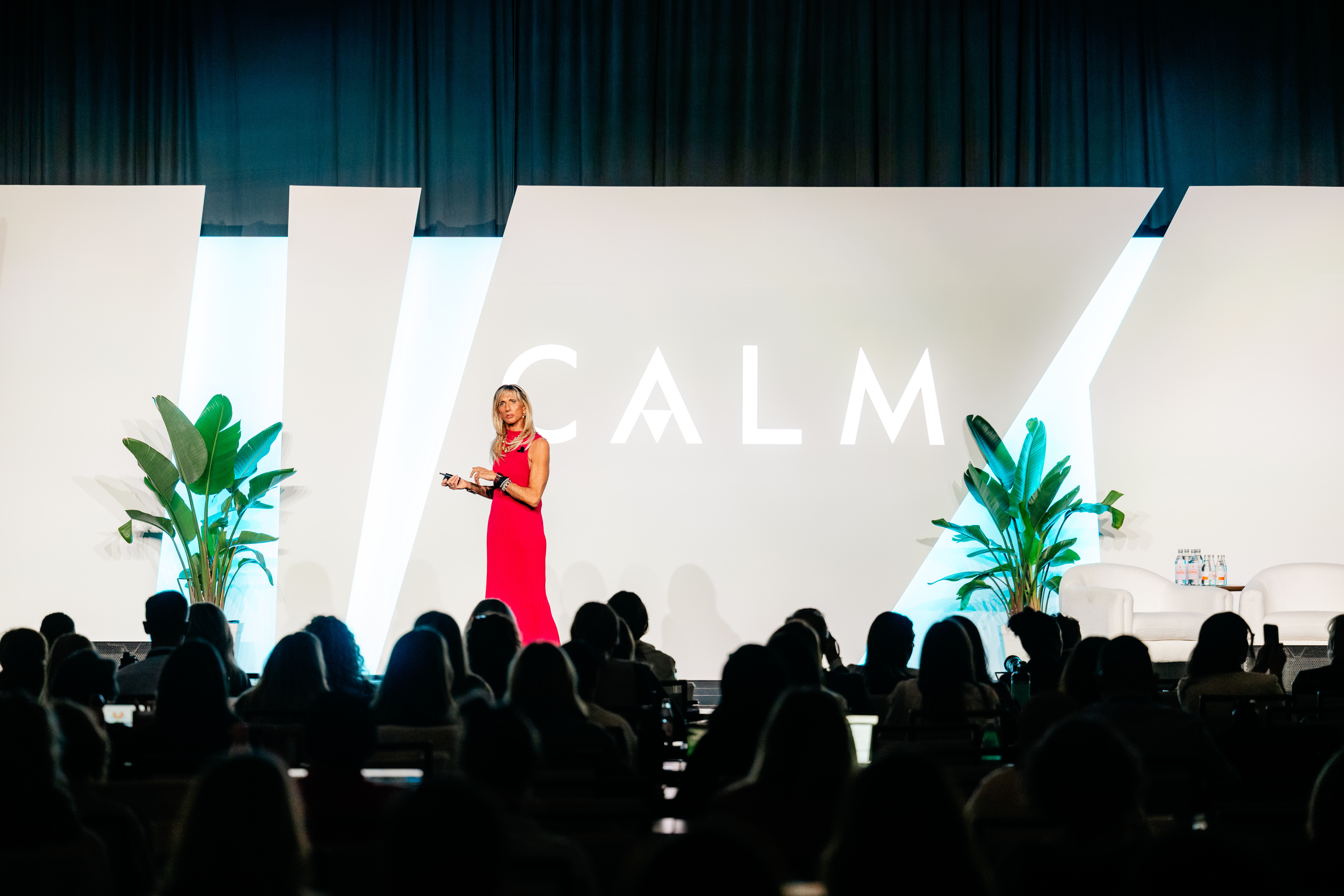 Elizabeth Yurth presenting to a live audience at CALM
